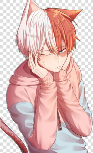 Transparent Todoroki Shouto Png   Shouto My Hero Academia  Png Download