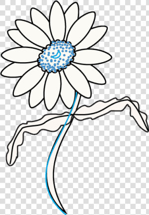 Daisy Drawing At Getdrawings   Draw Flowers Daisy  HD Png Download