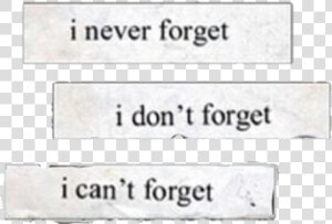  sad  quotes  quote  aesthetic  tumblr  tumblraesthetic   Never Forget I Dont Forget I Cant Forget  HD Png Download