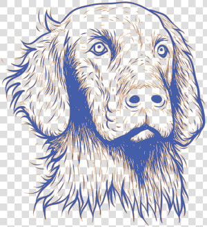 Cocker Spaniel  HD Png Download