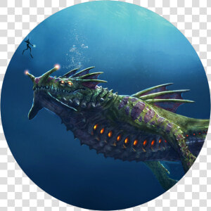 Image   Sea Dragon Leviathan  HD Png Download