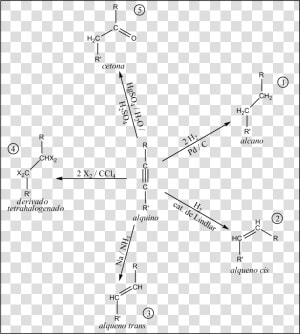 Reacciones De Alquinos A   Reaccion De Los Alquinos  HD Png Download
