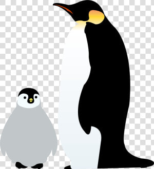 Emperor Penguin Antarctica Illustration Image   皇帝 ペンギン フリー 素材  HD Png Download