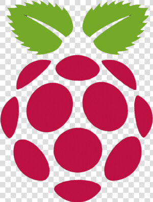 Transparent Raspberry Pi Logo Png   Raspberry Pi Logo Png  Png Download