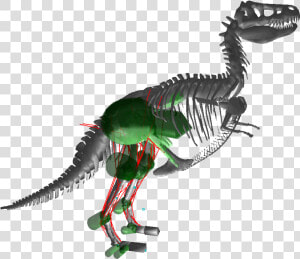 Tyrannosaurus   Png Download   Tyrannosaurus  Transparent Png