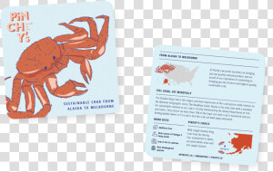 Infocard1   Cancer   Homarus  HD Png Download