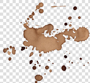 16 Coffee Stains Splatter Vol  HD Png Download