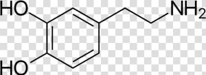 Img 7881   Dopamine Skeletal Structure  HD Png Download