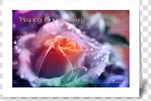 Rainbow Rose Greeting Card   Greeting Card  HD Png Download