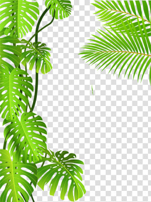 Image Freeuse Royalty Free Clip Art Forest Royaltyfree   Jungle Tropical Leaves Transparent  HD Png Download