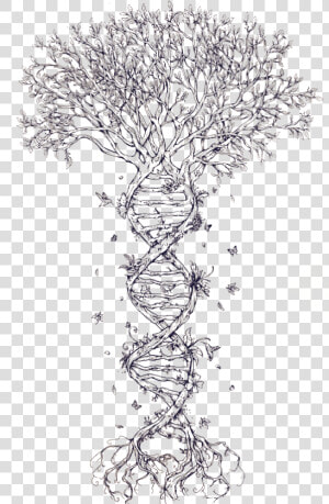 Family Tree Dna Tattoo Family Tree Dna Nucleic Acid   Tree Of Life Double Helix  HD Png Download