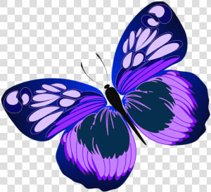 Clip Art Its Meaning And Many   Schmetterling Clipart Lila  HD Png Download