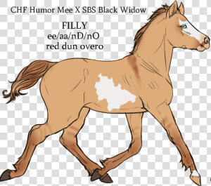 Chf Humor Mee X Sbs Black Widow By Cherryhillfarms   Mane  HD Png Download