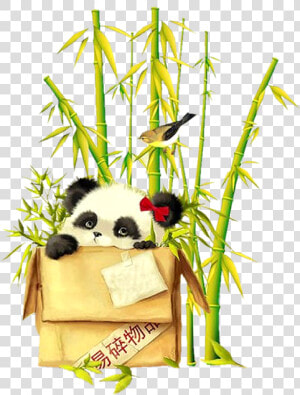 Bamboo Clipart Money Png Black And White Library Forgetmenot   Pandas Papel De Parede De Celular Desenhos  Transparent Png