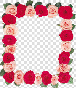 Floral Frame Png   Рамка Розы Пнг  Transparent Png