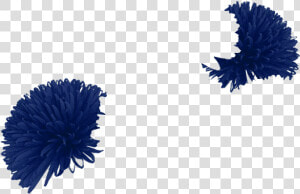 Pom Poms Png  Transparent Png