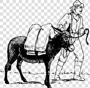 Man And Donkey 2 Clip Arts   Black Man On A Mule  HD Png Download