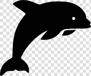 Dolphin Vector   Dolphin Icon Png  Transparent Png