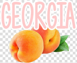  georgia  fruit  peach   Peach  HD Png Download