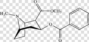 Cocaine Png  Transparent Png