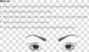 Transparent Mad Eyebrows Png  Png Download