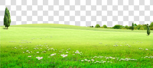 Hd Graphic Stock Land Grassland For Free Download On   Green Land Background Png  Transparent Png