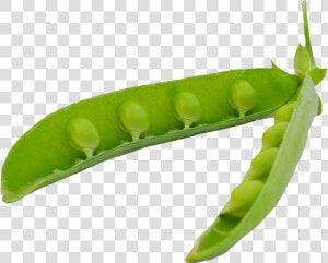 Green Peas Pods Png Image   Pea In Pod Png  Transparent Png