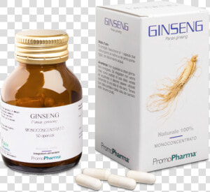 Transparent Ginseng Png   Balm Drug Melissa Officinalis  Png Download