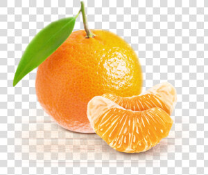 Tangerine  HD Png Download