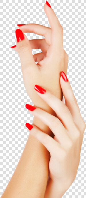 Nails Color Png Image   Nails Png  Transparent Png