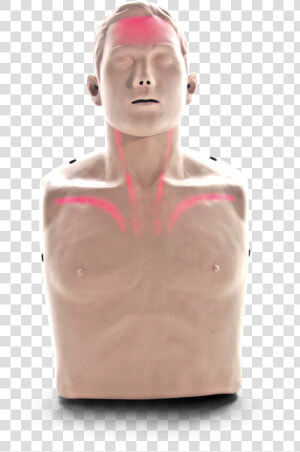 Big Red Manikin  HD Png Download