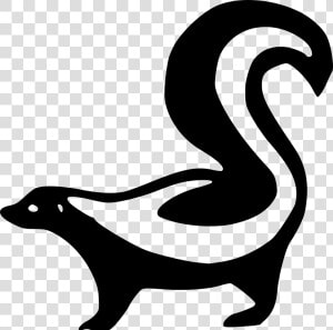 Skunk Png   Skunk Clip Art  Transparent Png