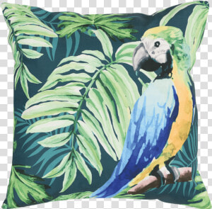 Funda De Cojín Guacamaya   Cushion  HD Png Download