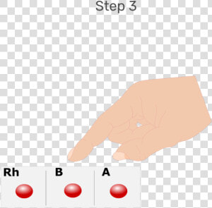 Animation Of Large Drops Of Blood Being Placed In Each   Illustration  HD Png Download