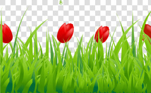 Spring Clipart Spring Grass Pencil And In Color Spring   Border Tulip Clip Art  HD Png Download