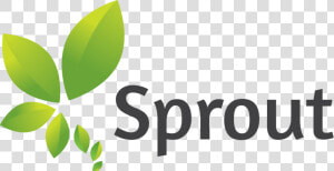 Sprout  HD Png Download