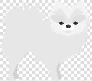 Pomeranian  HD Png Download