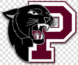 Princeton Panthers Football Data Srcset Https   Princeton High School Logo  HD Png Download