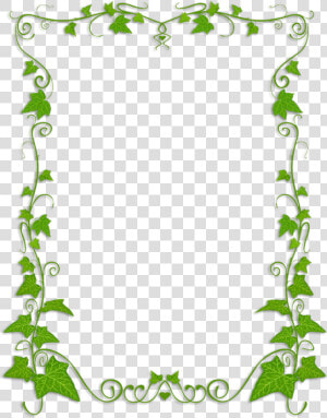 Common Ivy Plant Vine Clip Art   Transparent Background Vine Borders  HD Png Download