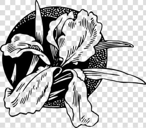 Art monochrome Photography petal  HD Png Download