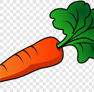 Free Carrot Clipart 19 Carrot Jpg Transparent Huge   Transparent Background Carrot Clipart  HD Png Download