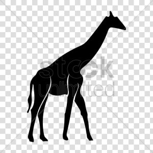 Giraffe Shadow Clipart Silhouette Shadow   Giraffe  HD Png Download