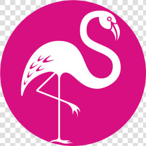 Pink Flamingo Certification   Pink Flamingo Logo  HD Png Download