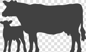 Black Angus Bull Silhouette At Getdrawings   Silhouette Cattle Clipart  HD Png Download