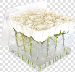 Caja De Acrílico Rosas Blancas   Caja Acrilica Con Rosas  HD Png Download