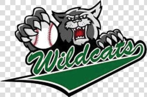 Westview Wildcats   Png Download   Arizona Wildcats Baseball  Transparent Png