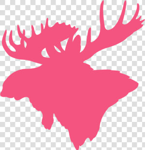 Just Really Like Moose  HD Png Download