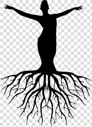 Silhouette Women Tree Yoga Meditation Harmony   Tree With Roots Silhouette Png  Transparent Png