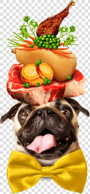 A Pug Dog Wearing A Large Yellow Bowtie  And Balancing   Pug Dog On His Head Fruits  HD Png Download