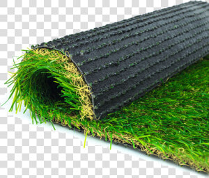 Plastic Grass Carpet In Sri Lanka  HD Png Download